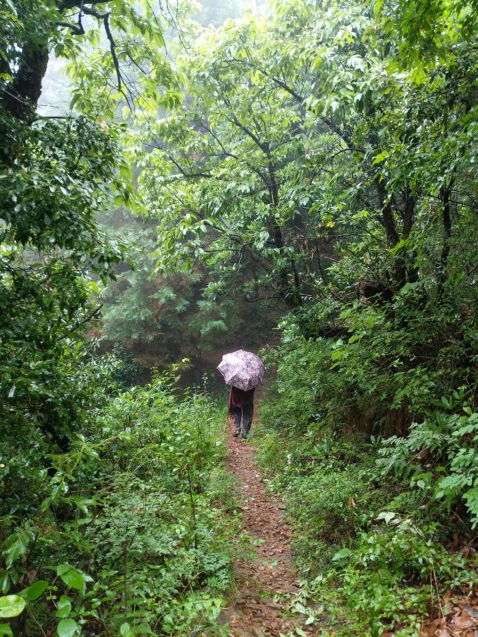 Namastay Himalayas, קנאטל מראה חיצוני תמונה