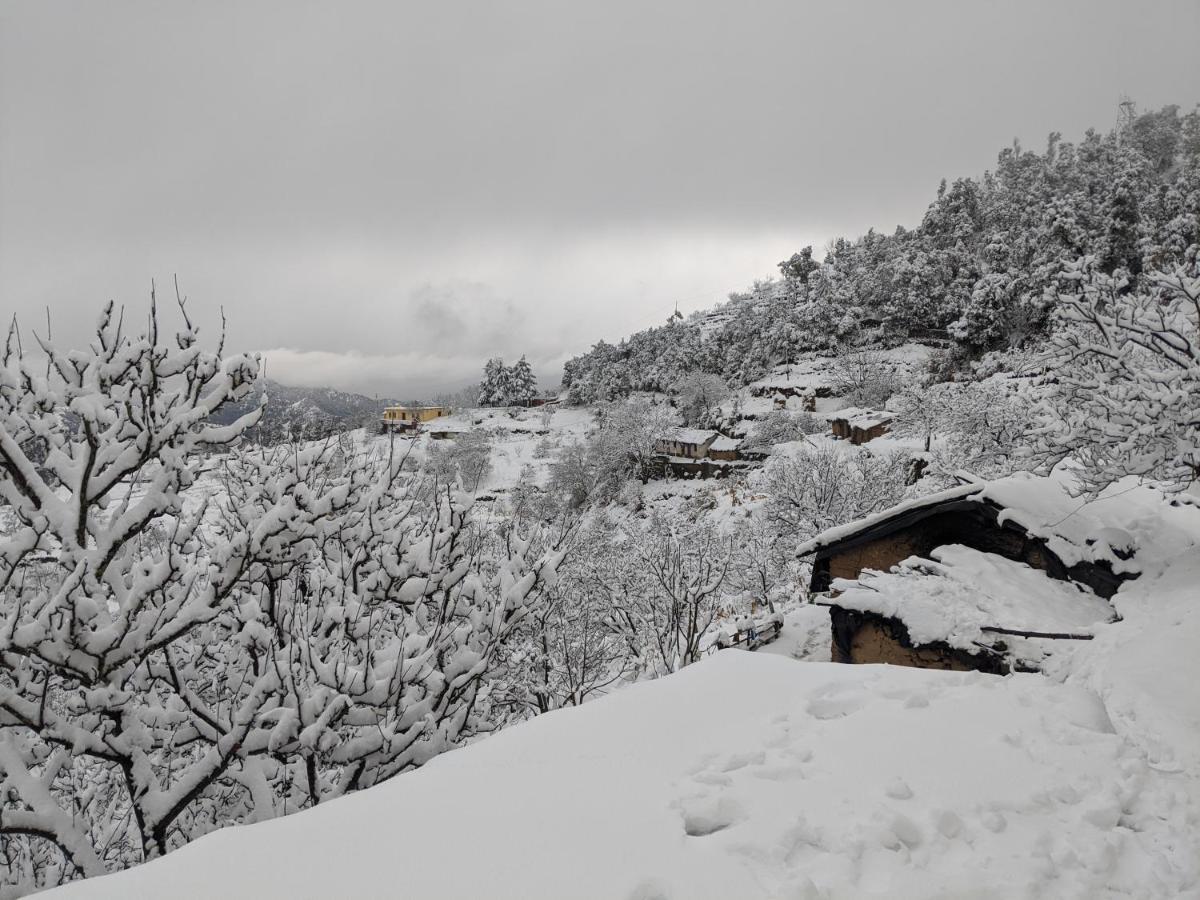 Namastay Himalayas, קנאטל מראה חיצוני תמונה