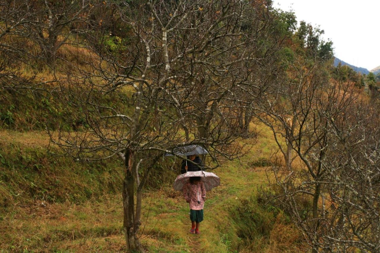 Namastay Himalayas, קנאטל מראה חיצוני תמונה