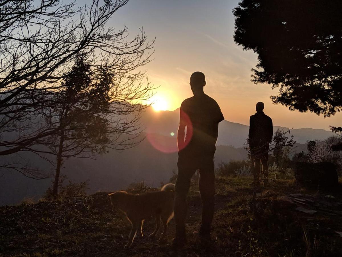 Namastay Himalayas, קנאטל מראה חיצוני תמונה