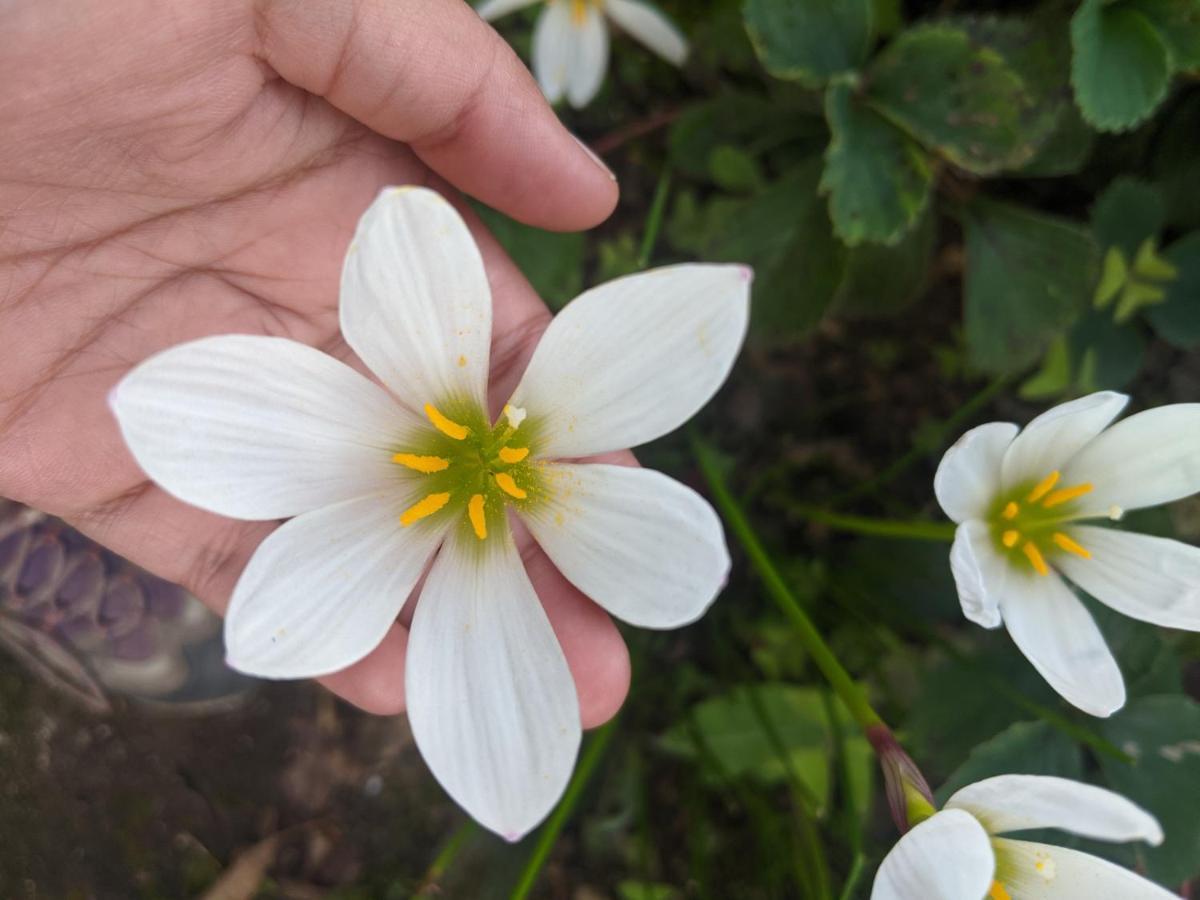Namastay Himalayas, קנאטל מראה חיצוני תמונה