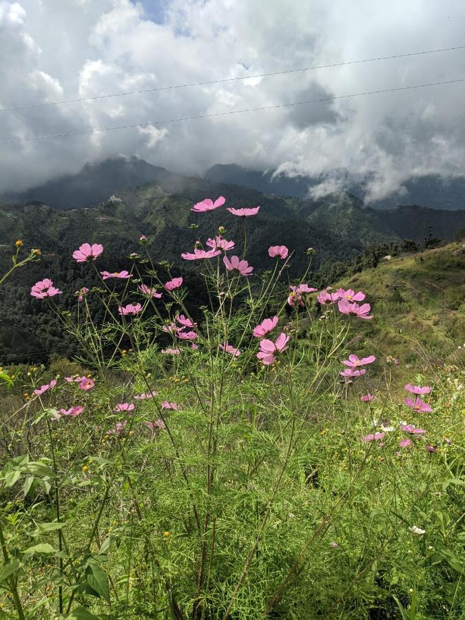 Namastay Himalayas, קנאטל מראה חיצוני תמונה