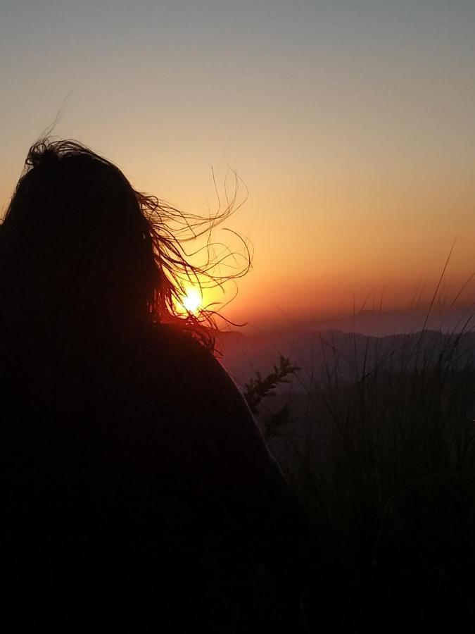 Namastay Himalayas, קנאטל מראה חיצוני תמונה