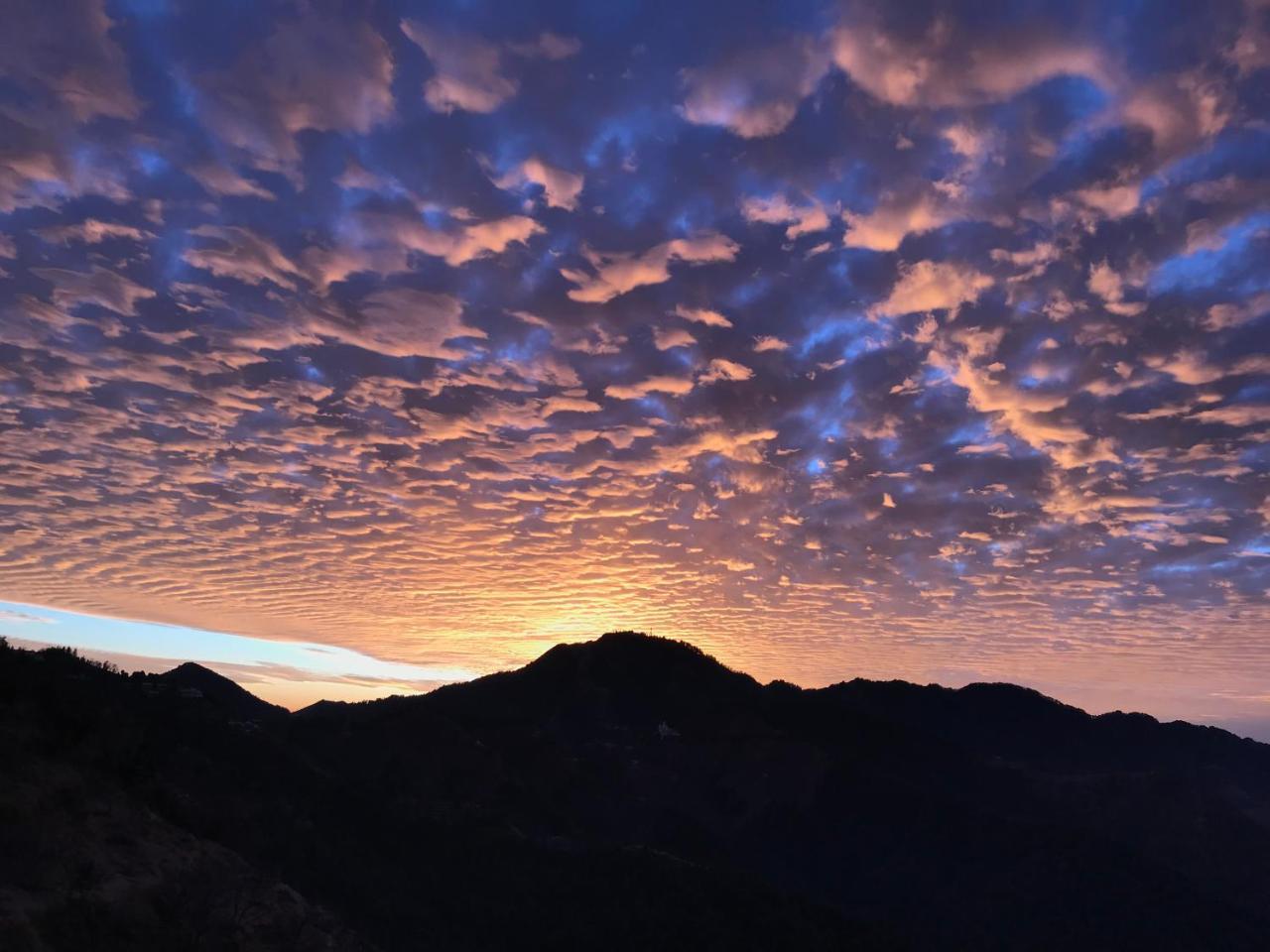 Namastay Himalayas, קנאטל מראה חיצוני תמונה
